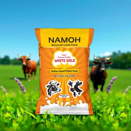 Namohagro Cotton Seed Pellet Feed, White Gold